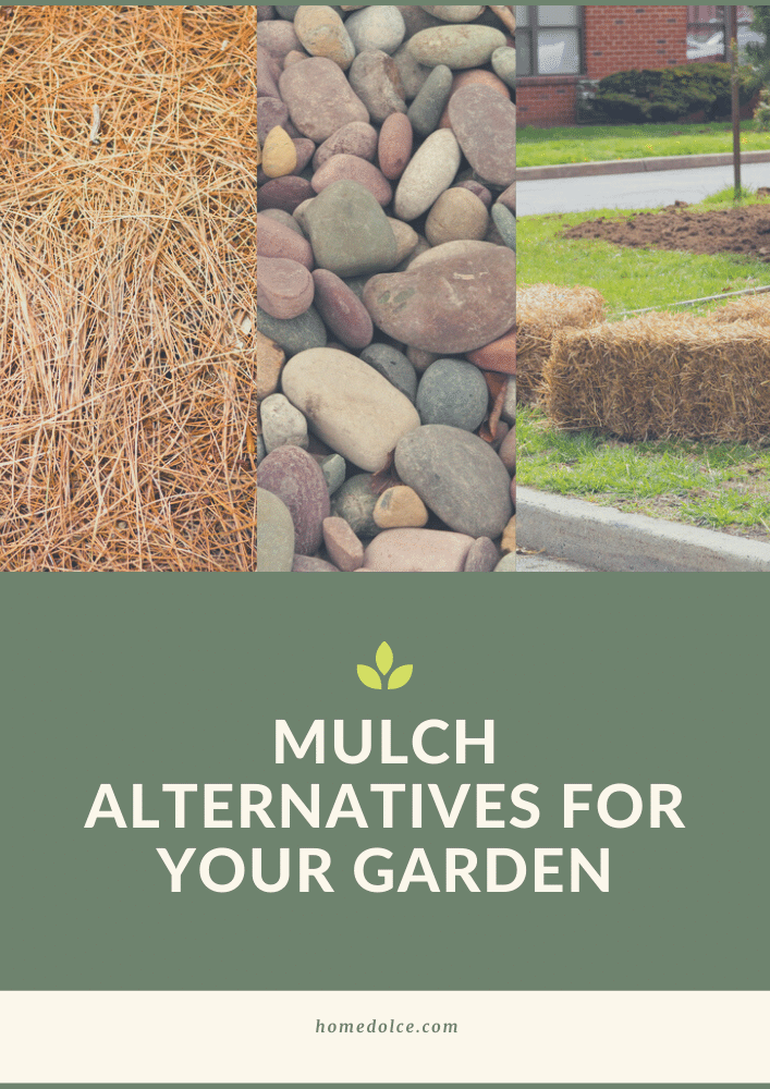 15 Mulch Alternatives For Your Garden